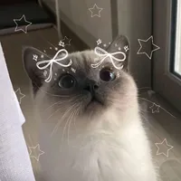 original sound - aswaneedomaeng12