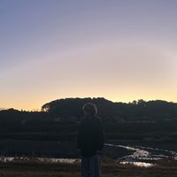 xivii____