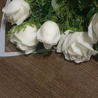 bilinmeyen273729229