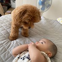 hu_lu_1023