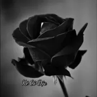 original sound - 86kecodoc