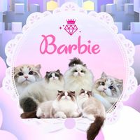 barbie.cattery