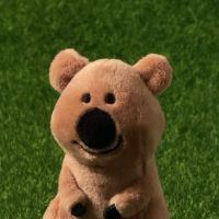 quokka.music