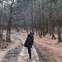 manisha.ale6