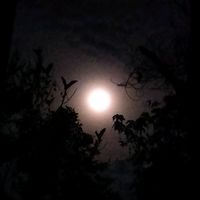 សំឡេងដើម - L_?