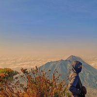 suara asli - imamfauzi