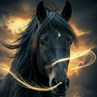 aljawad611