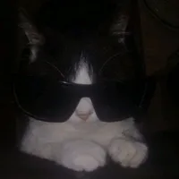 original sound - gunnn_948