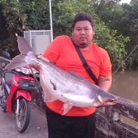 original sound - piyanat3