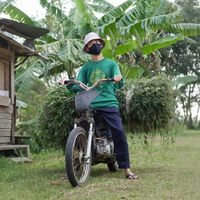 bintang.mans