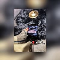 الصوت الأصلي