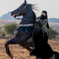 sarasss454