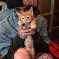 оригинальный звук