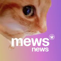 оригинальный звук - Mews News
