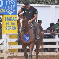 fernandinhocsf