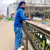 dino__nz