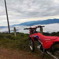 andres28317