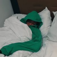 bisohee