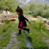 farid31087