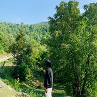 umeshchettry__3