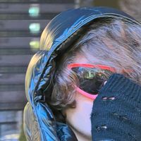 maitrei_inc