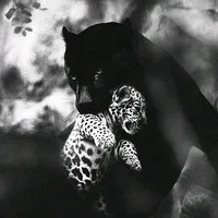 DÜŞMANLARIMIN HEPSİ KURUYEMİŞ