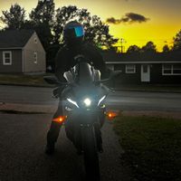 colbysarty