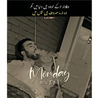 mr_maan8