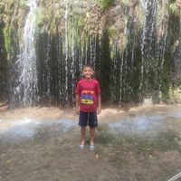 31memetcan