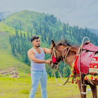 inamuddin6677