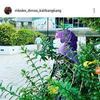 suara asli - Sahul kalibangkang
