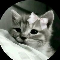 your_samu_41