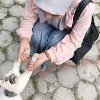 suara asli - princess🧚‍♂️🕊