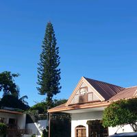 mxndu__16