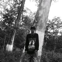 anzudml