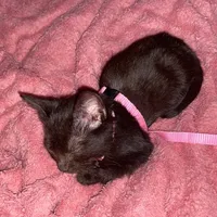 original sound - user0375681578865