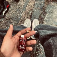 sa_g_ar___st_ha