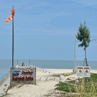 原声 - 纵横四海