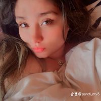 pandi_ntv3
