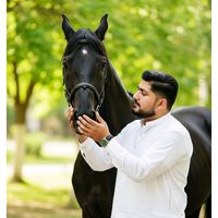 sulyman5712
