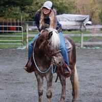 lei_.eq