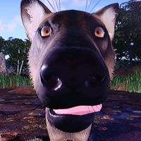 кВыса звук Doshik_Haositaoff