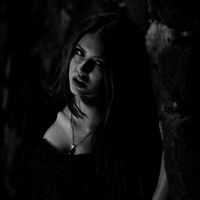 user_81818186