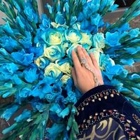 ilhano_vaa