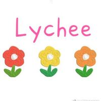 lycheehandmade