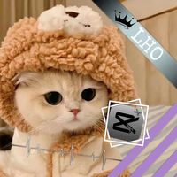 ouo085213_