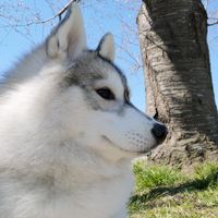 lpxtmjdgkgmgmhogkpm