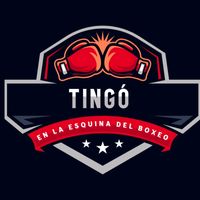 tingo_boxing