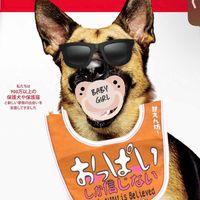 オリジナル楽曲 - 🐶ワンダコッタ😹【公式】