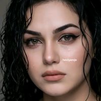 dilo_van1